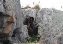 5 Eigenschaften, die Vogelbeobachter mit Detektiven teilen