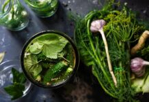 Südfrucht vergeht, Gurke besteht | Iss saisonal; weniger global