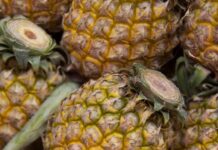 Ananas ohne Blattkrone im Handel. Was sind die Gründe?