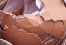 Viel zu schade für den Hausmüll: Eierschalen, Kaffeesatz und Bananenschalen